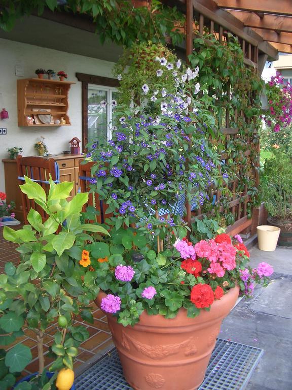 Apartamento Haus Grützner Dorfgastein Exterior foto